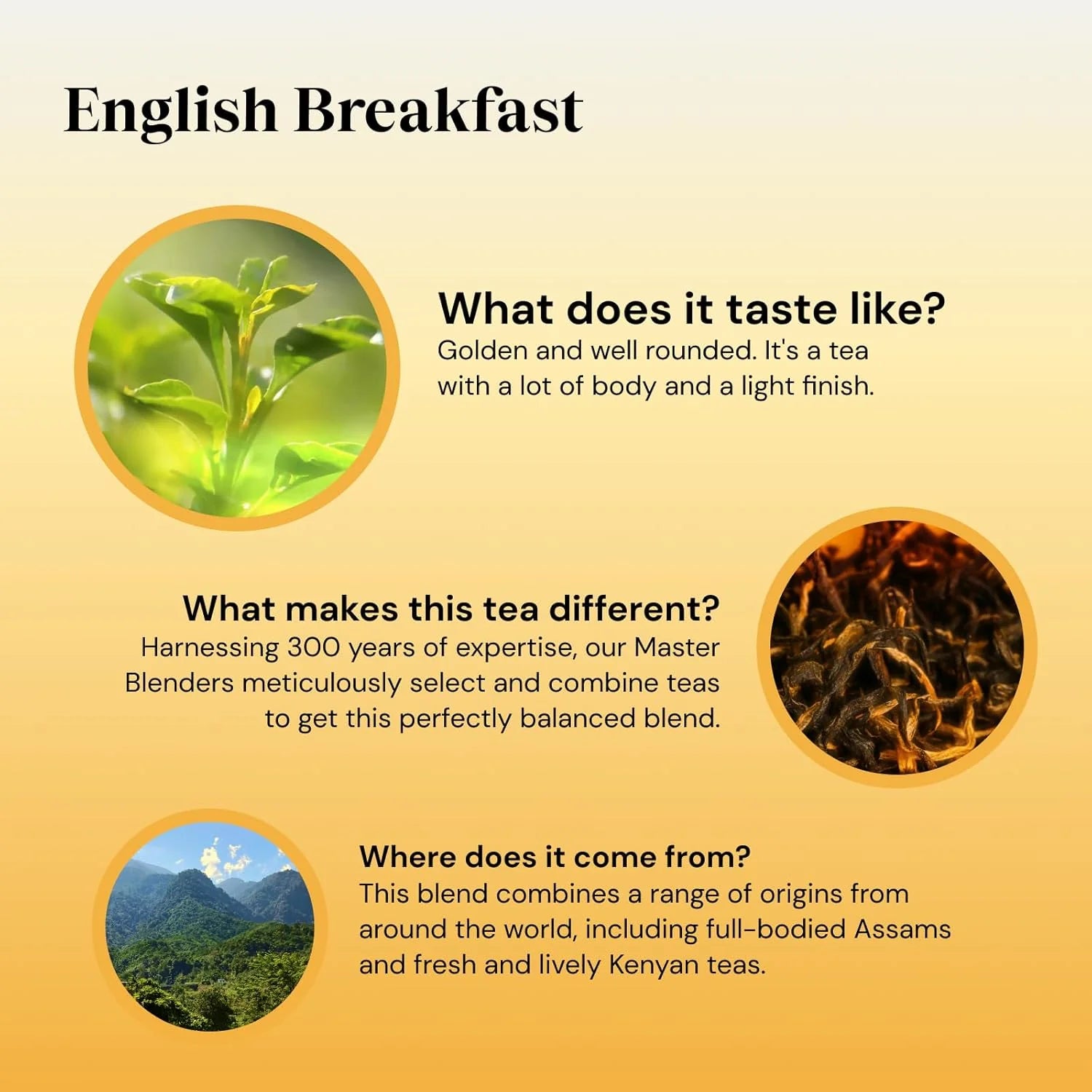 Twinings English Breakfast 300 Pack