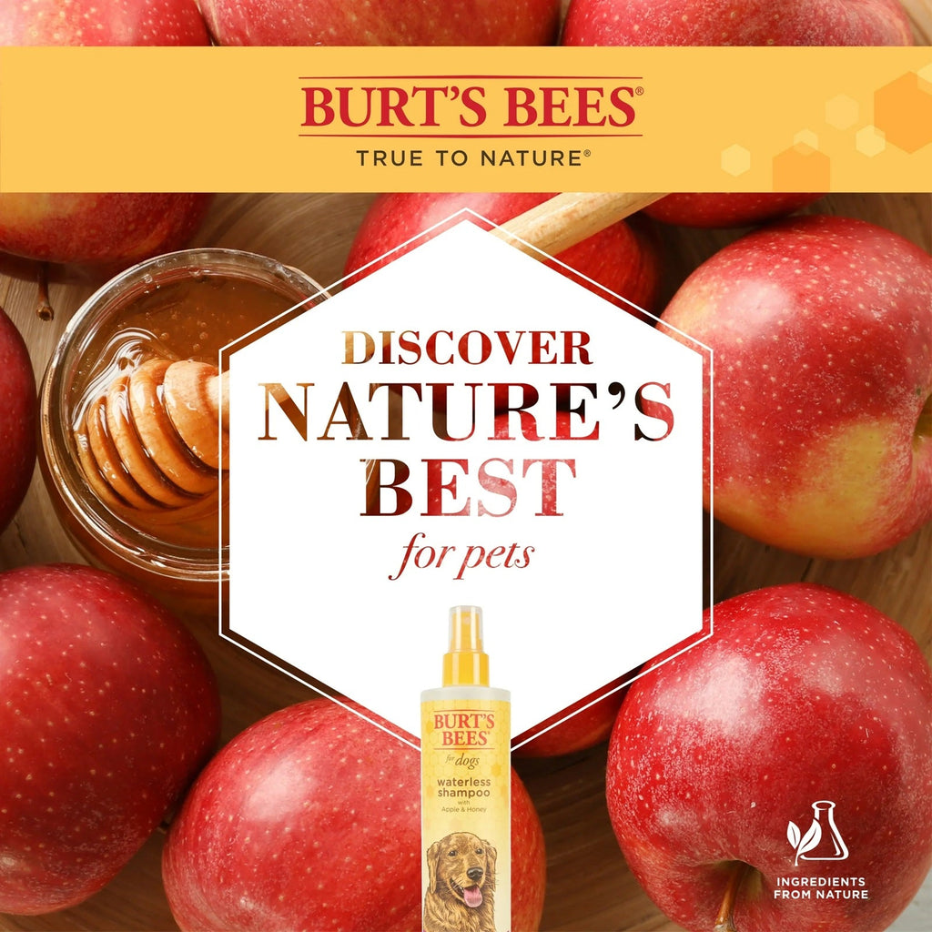 Burts Bees Waterless Shampoo Spray for Dog, Apple and Honey, 296ML