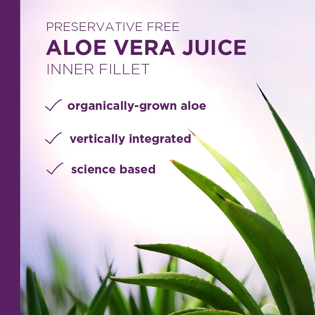 Preservative Free Aloe Vera Juice Inner Fillet | 16 Oz