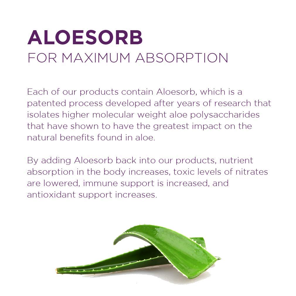 Preservative Free Aloe Vera Juice Inner Fillet | 16 Oz