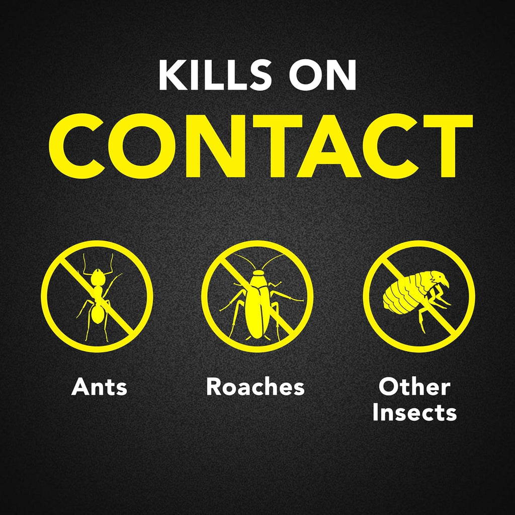 Raid Ant and Roach Aerosol, Lemon Scent - 17.5 Oz