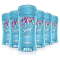 Secret Scent Lavender Gel Deodorant Sticks | 2.6 Oz | Pack of 6